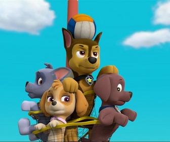 Replay Paw Patrol, la Pat'Patrouille - La Pat'Patrouille aide un ami