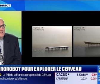 Replay Good Morning Business - Un microrobot pour explorer le cerveau