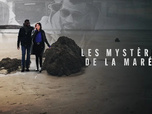 Replay Les mystères de la marée