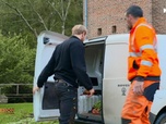 Replay Bûcheron, un métier à hauts risques - Sensations fortes