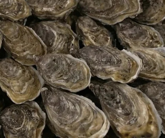 Replay Le Mag de la santé - 18/03/2026