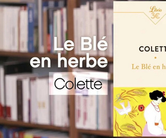 La p'tite librairie replay