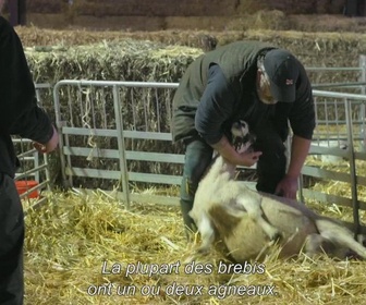 La nouvelle vie de Sarah Beeny à la campagne replay
