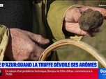 Replay Les longs formats des Locales - Côte d'azur : quand la truffe dévoile ses arômes