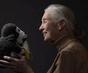 Replay ARTE Journal - Jane Goodall, une vie