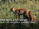 Replay La France en Vrai - Normandie