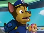 Replay Paw Patrol, la Pat'Patrouille - La Pat'Patrouille sauve un lamantin