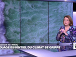 Replay Élément Terre, la quotidienne - L'AMOC, rouage essentiel du climat, se grippe