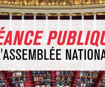 Replay En séance - Séance publique à l'Assemblée nationale - Vote de confiance au gouvernement Bayrou à l'Assemblée nationale en direct