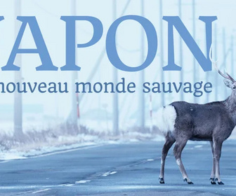 Replay Japon, un nouveau monde sauvage