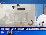Replay Le Pitch : Yomy, distributeur intelligent de nourriture pour chat - 22/10