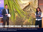 Replay BFM Première prématinale - Focus Régions - 06/02