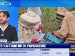 Replay Good Morning Business - Ubees : la start-up de l'apiculture de retour en France