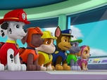 Replay Paw Patrol, la Pat'Patrouille - Maurice et Mauricette