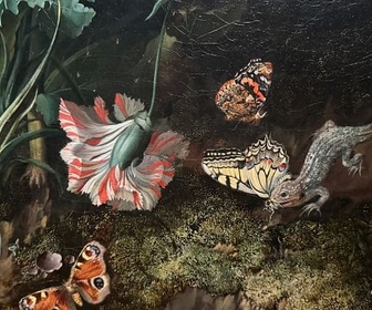 Replay Peintres néerlandaises du XVIIᵉ siècle - L'art et la nature