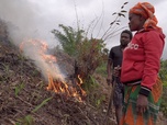 Replay ARTE Reportage - Madagascar : terre de feu
