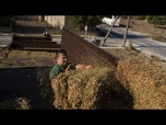 Replay Athènes met sous tutelle un organisme agricole après une enquête du Parquet européen
