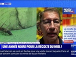 Replay La récolte de miel s'annonce très mauvaise, les prix vont-ils augmenter? BFMTV répond à vos questions