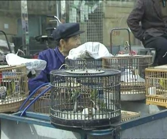 Replay Découverte du Monde - Pékin, ville impériale