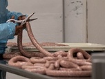 Replay ARTE Info Expresso - Allemagne : la crise de la saucisse