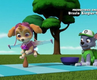 Replay Paw Patrol, la Pat'Patrouille - La plus grosse omelette du monde