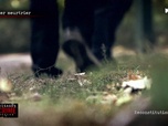 Replay Les visages du crime en région - Spéciale meurtres crapuleux