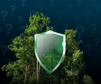 Replay POURQUOI ? - Comment rendre les forêts plus résistantes au feu ?