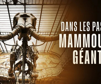 Replay Dans les pas du mammouth géant