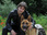 Replay Rex, chien flic