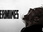 Replay Vermines