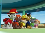 Replay Paw Patrol, la Pat'Patrouille - Une livraison en péril