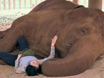Replay La femme qui murmurait à l'oreille des éléphants