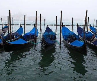 Replay Venise en hiver - GEO Reportage