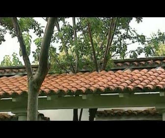 Replay Histoires d'îles - Cuba