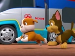 Replay Paw Patrol, la Pat'Patrouille - Le Robot-Saure