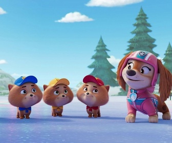 Replay Paw Patrol, la Pat'Patrouille - Le Noël de la Patrouille Junior