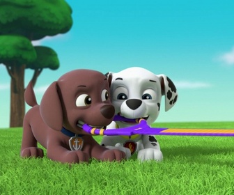Replay Paw Patrol, la Pat'Patrouille - Sauvetage en mer