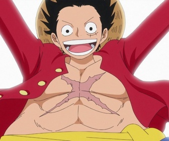 Replay One piece - S18 E26 - Une traversée légendaire. Le chien, le chat et le roi des pirates !