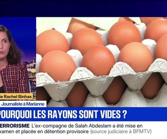 Replay BFM Grand Soir - Oeufs : pourquoi les rayons sont vides ? - 10/11