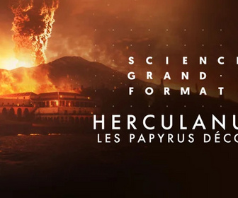 Replay Science grand format - Herculanum, les papyrus décodés