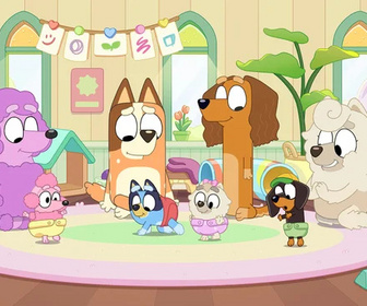 Replay Bluey - 15/10/2025