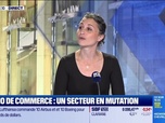 Replay Les Experts de l'immo : Immo de commerce, un secteur en mutation - 12/05