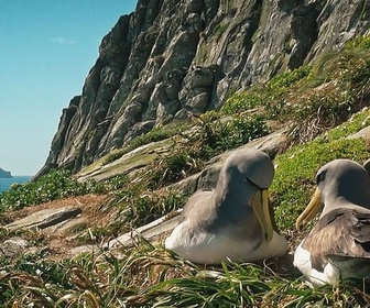 Replay Nouvelle-Zélande : embarquement pour un voyage inédit