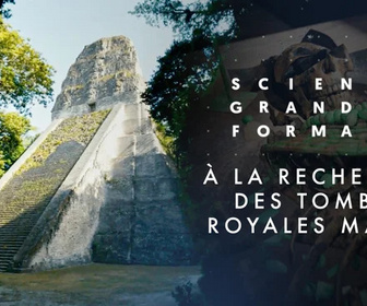 Replay Science grand format - 08/08/2026