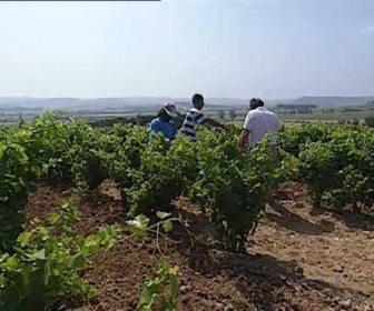 Replay La France aux 1000 villages - Les Pyrénées orientales