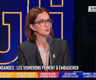 Replay Les Grandes Gueules - Bagnoles sur Cèze : les dealers nouvelles assistantes sociales
