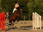 Replay Au galop ! - 28/04/2026