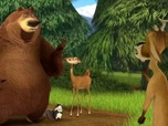 Replay Les rebelles de la forêt 2