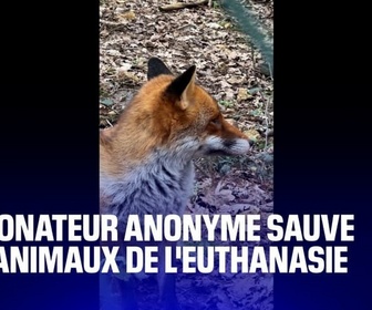 Replay TANGUY DE BFM - Dordogne: un mécène fait un don de 100.000€ et sauve les animaux d'un parc de l'euthanasie