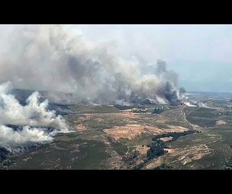 Replay Incendies de forêt dans le sud de l'Europe : le bilan s'alourdit